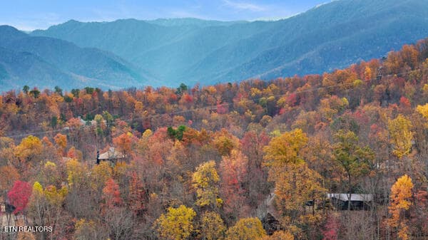 IMG_5494 - 887 Holly Branch Rd, Gatlinburg, TN 37738