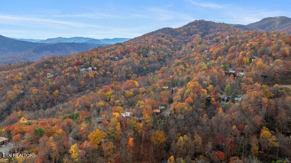 IMG_5493 - 887 Holly Branch Rd, Gatlinburg, TN 37738