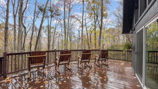 IMG_5483 - 887 Holly Branch Rd, Gatlinburg, TN 37738