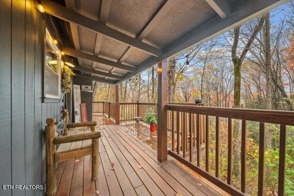 IMG_5472 - 887 Holly Branch Rd, Gatlinburg, TN 37738