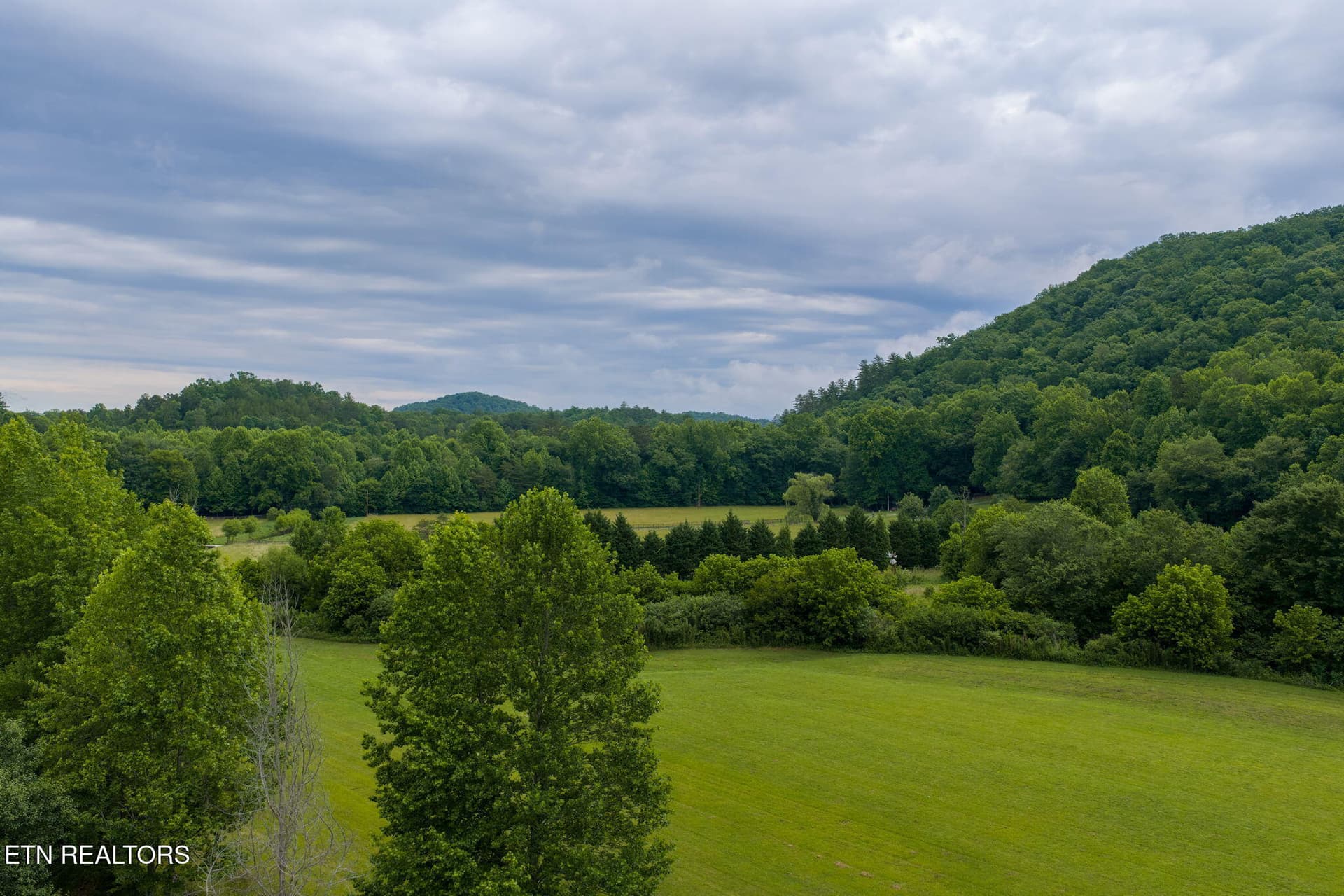 homesandvideos-645 - 13431 New Highway 68, Tellico Plains, TN 37385