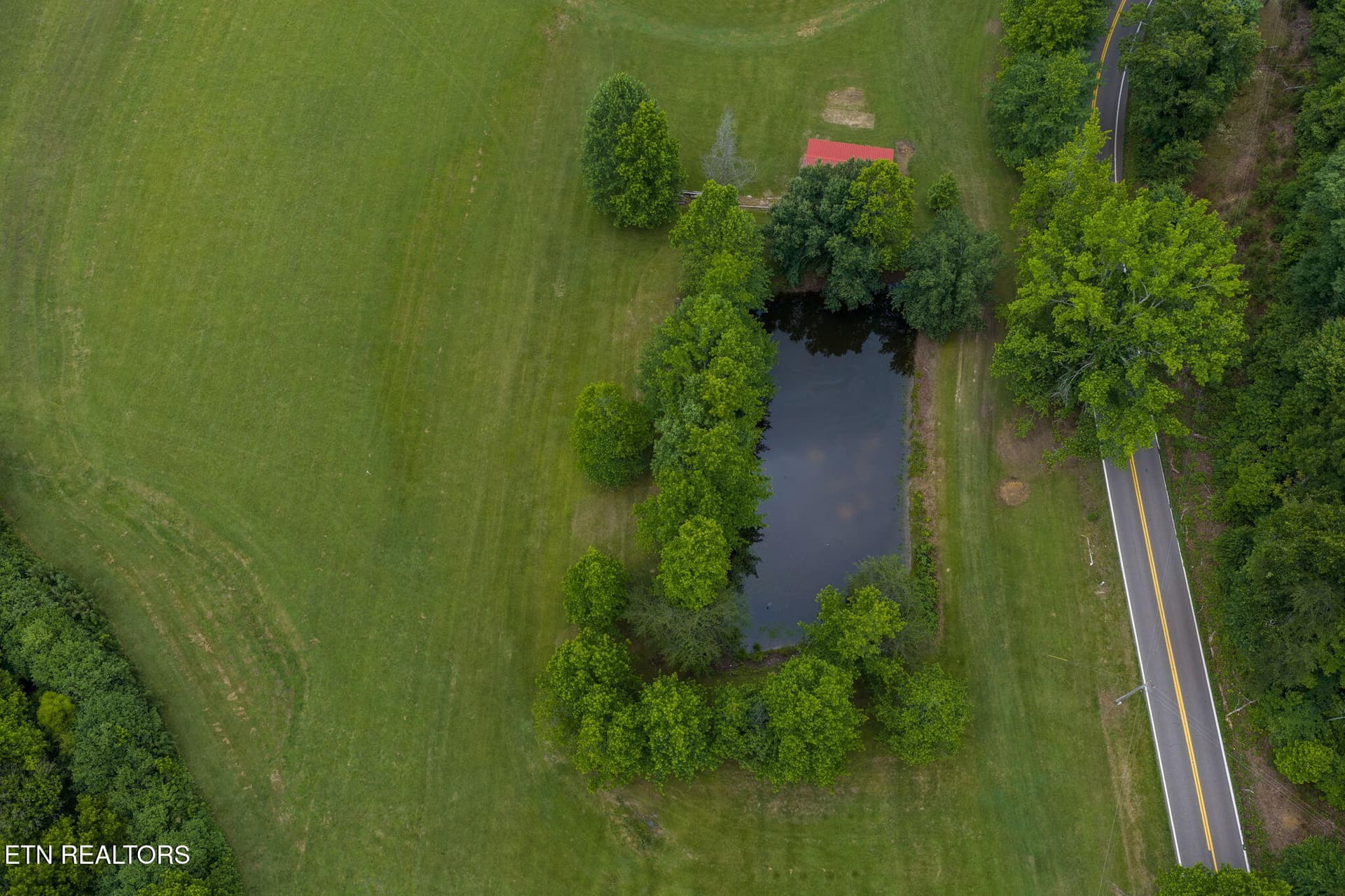 homesandvideos-658 - 13431 New Highway 68, Tellico Plains, TN 37385