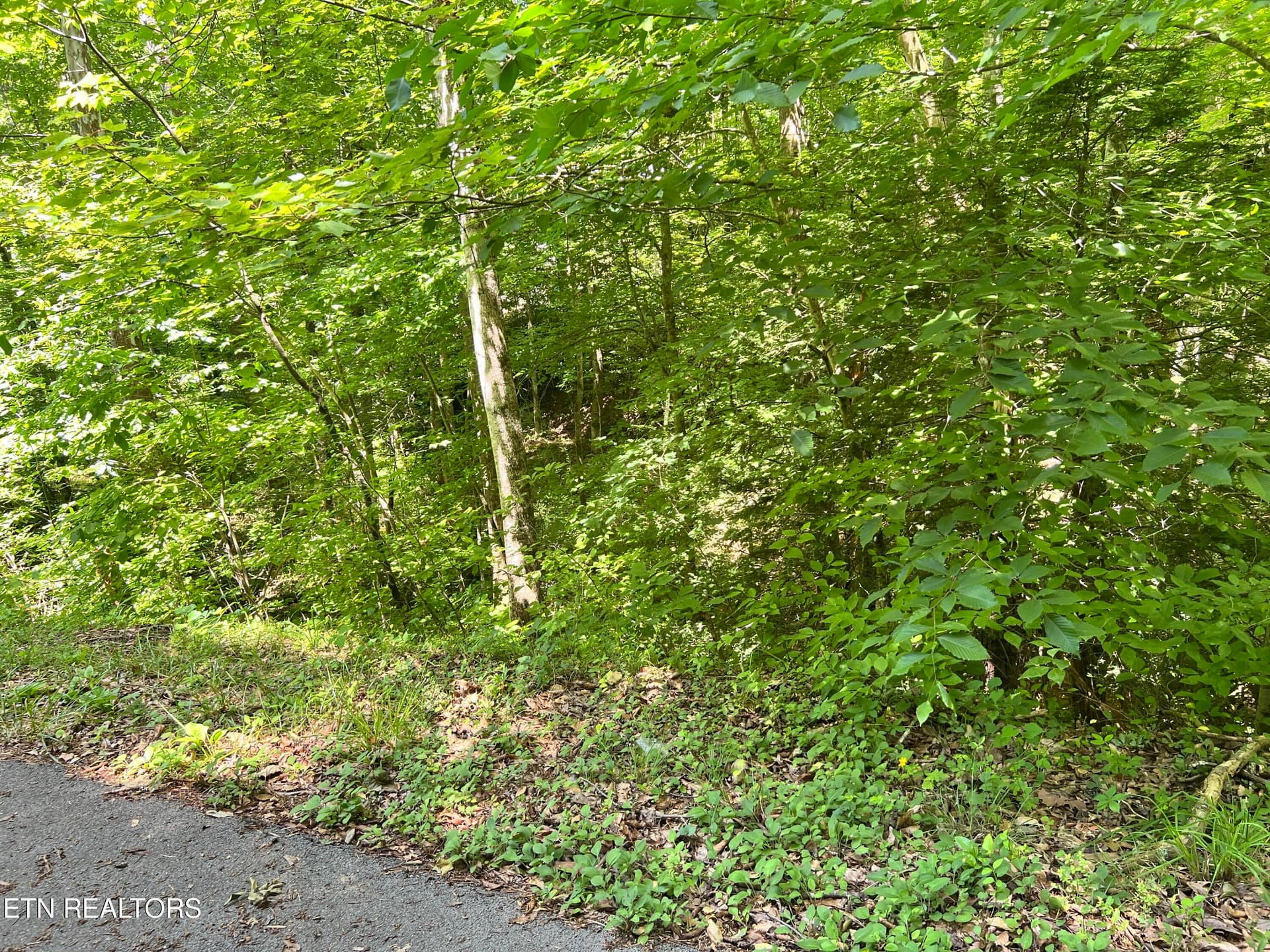 Fir Drive Lot 110, Sevierville, TN 37876
