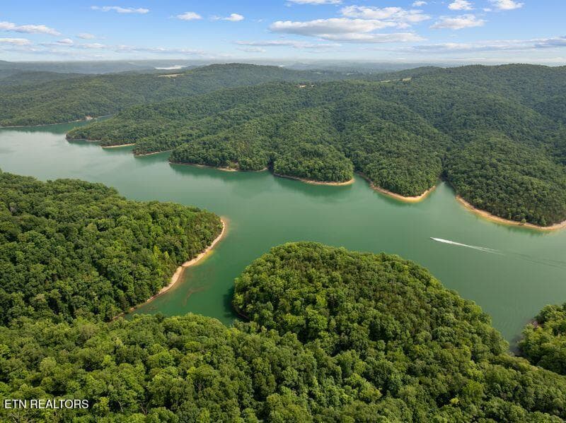 gedwill use 9 - 976 Livingston Boat Dock Rd, Allons, TN 38541