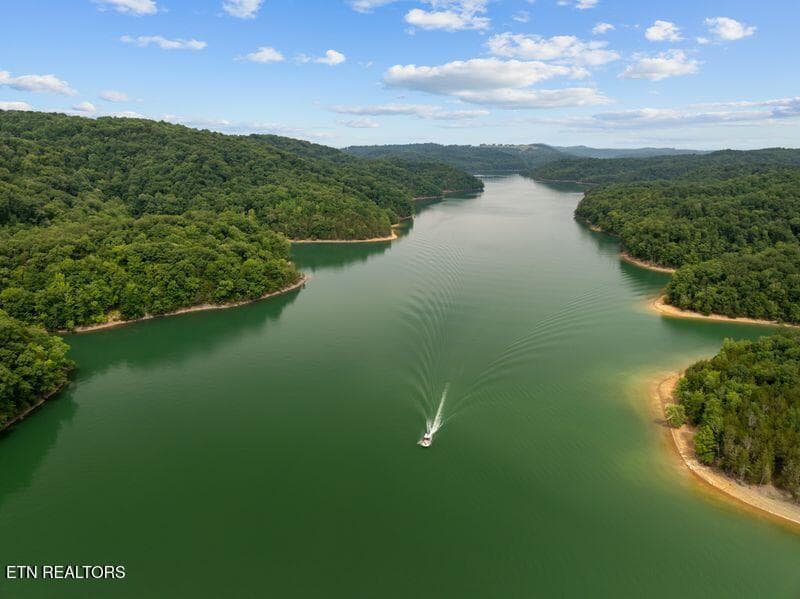 gedwill use 25 - 976 Livingston Boat Dock Rd, Allons, TN 38541