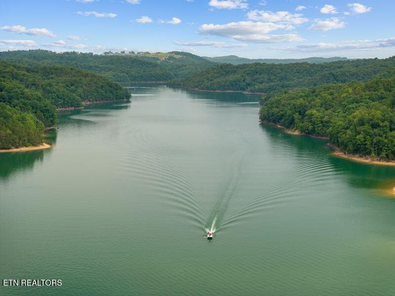 gedwill use 24 - 976 Livingston Boat Dock Rd, Allons, TN 38541
