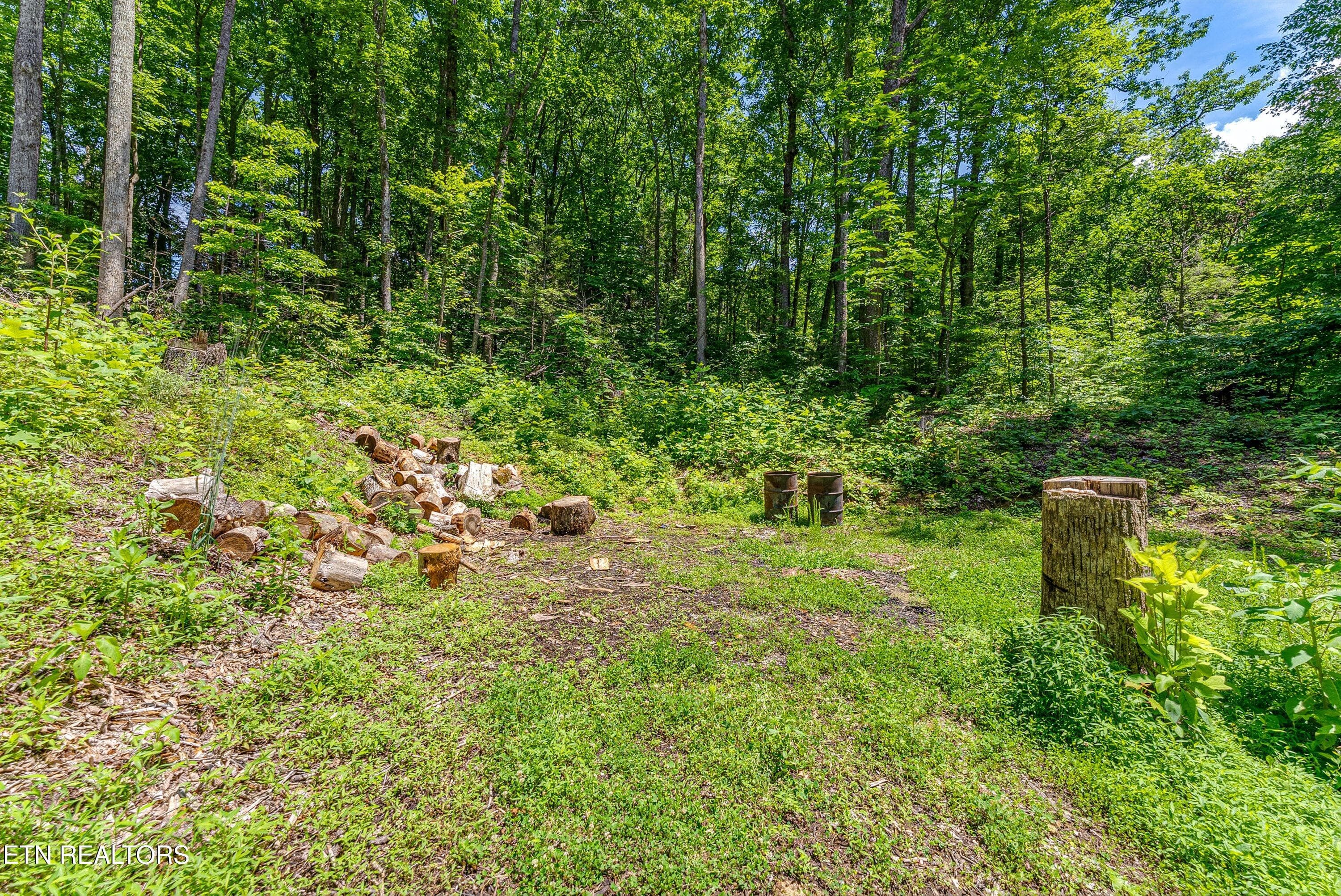 229 Sonshine Ridge Rd, Cosby, TN 37722