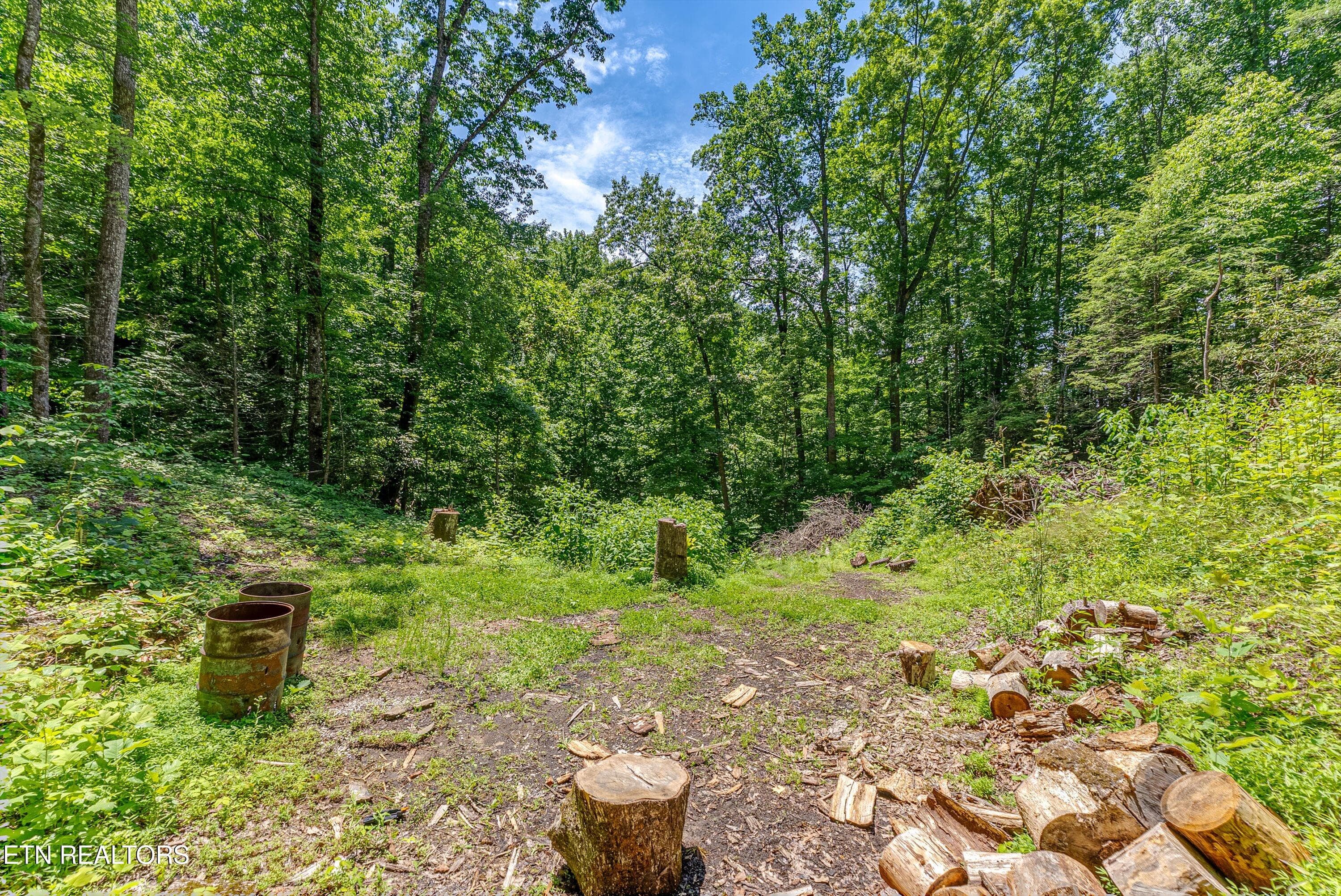 30-Clearing A4 - 229 Sonshine Ridge Rd, Cosby, TN 37722