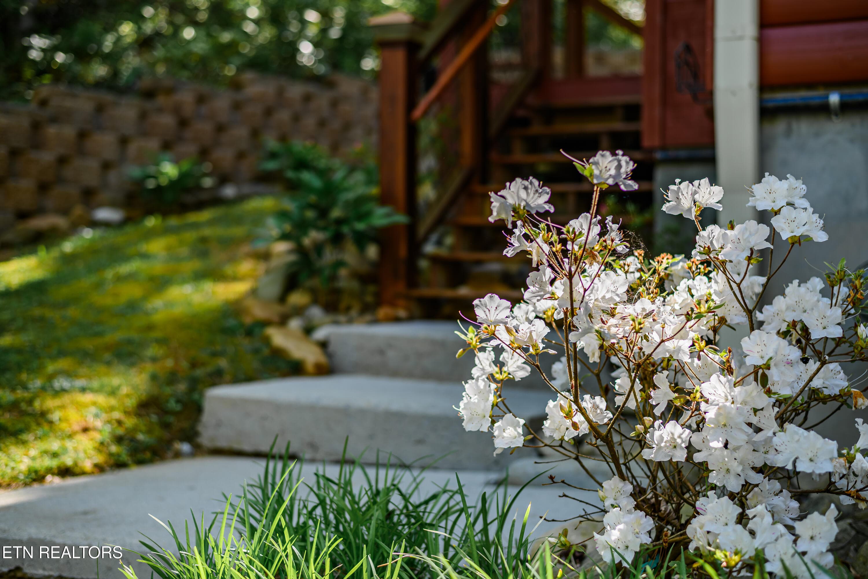 Rocky Cove-6 - 353 Pa Proffitt Rd, Gatlinburg, TN 37738, Gatlinburg