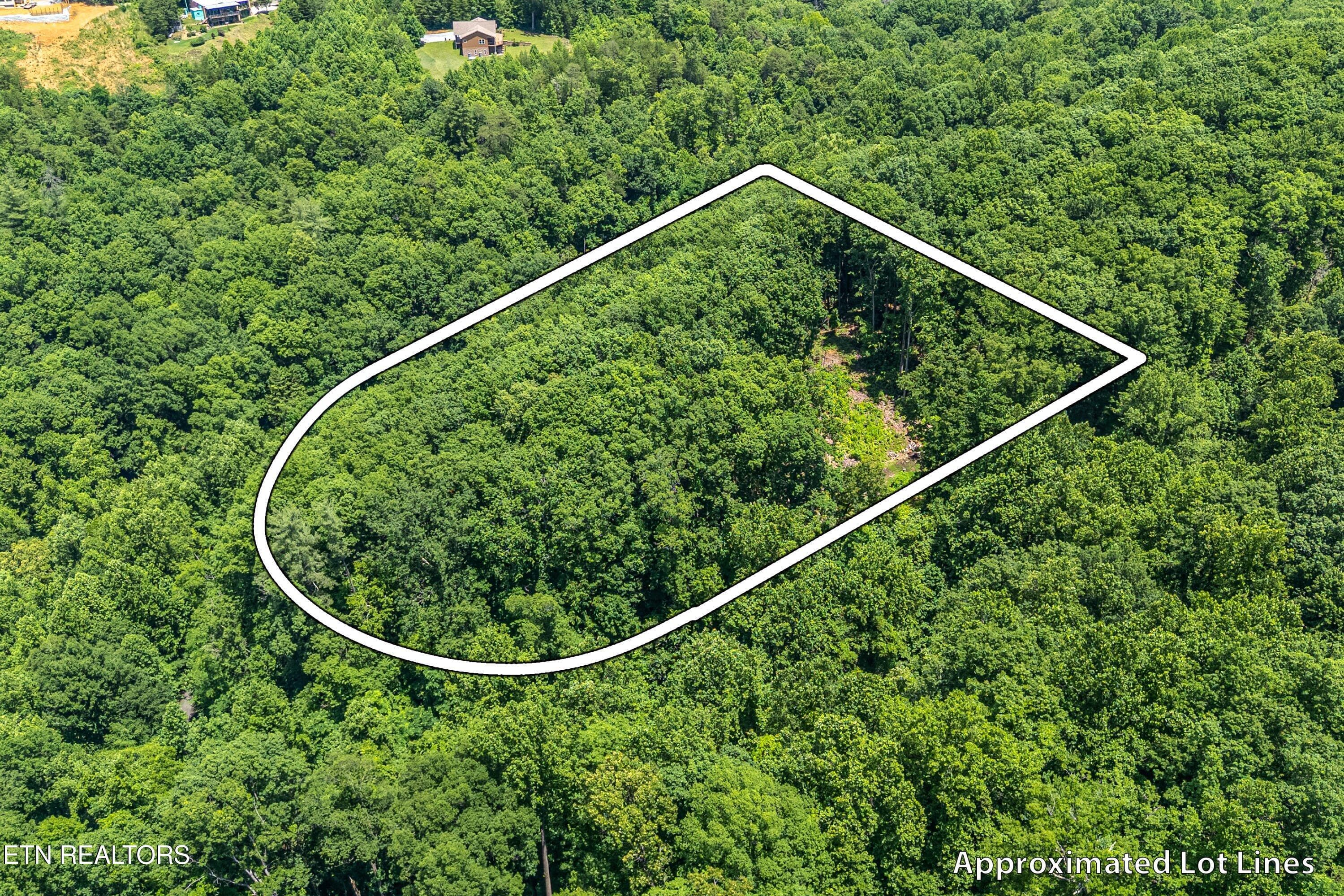 11-1st Lot A1 - 229 Sonshine Ridge Rd, Cosby, TN 37722