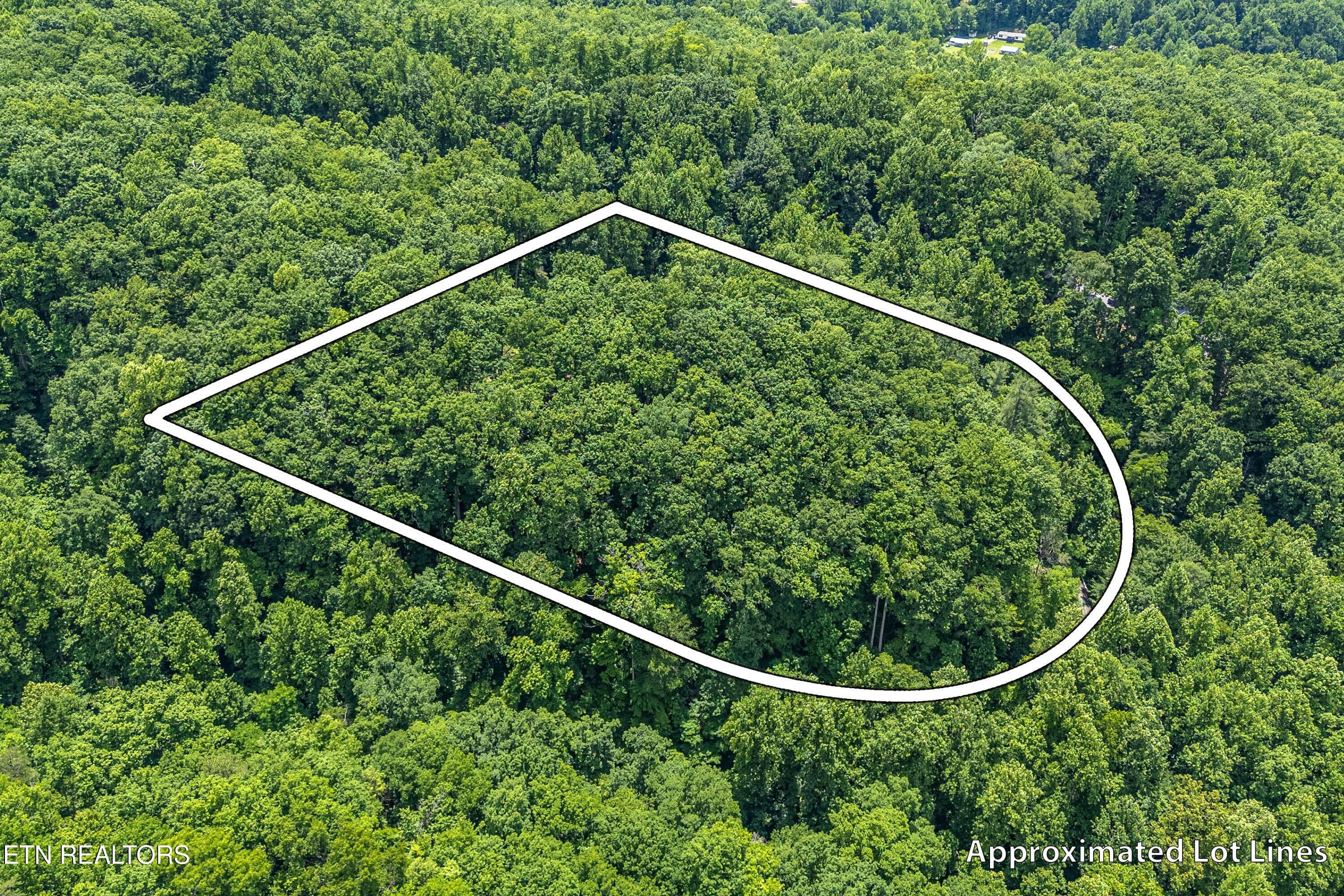 13-1st Lot A3 - 229 Sonshine Ridge Rd, Cosby, TN 37722