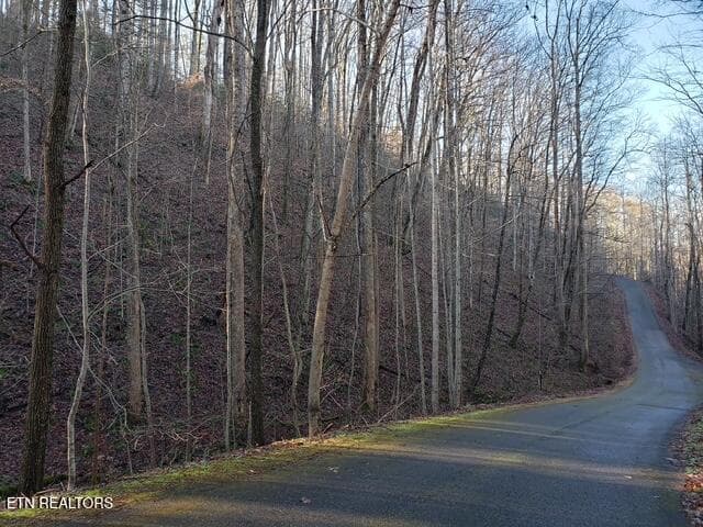 20221216_103256 - 229 Sonshine Ridge Rd, Cosby, TN 37722