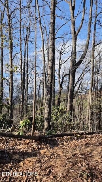 20251228_152338(15) - 229 Sonshine Ridge Rd, Cosby, TN 37722