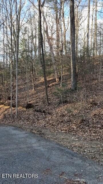 20251228_152338(16) - 229 Sonshine Ridge Rd, Cosby, TN 37722