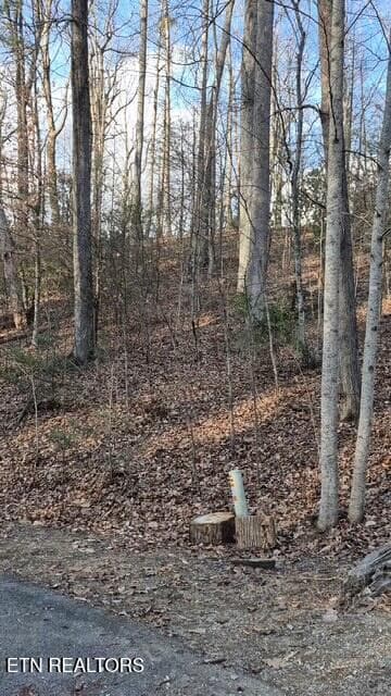 20251228_152338(17) - 229 Sonshine Ridge Rd, Cosby, TN 37722