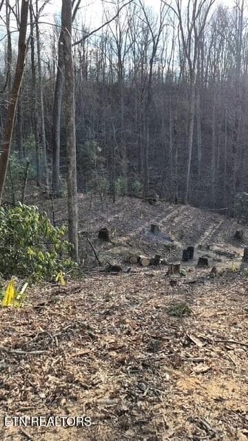 20251228_152338(22) - 229 Sonshine Ridge Rd, Cosby, TN 37722