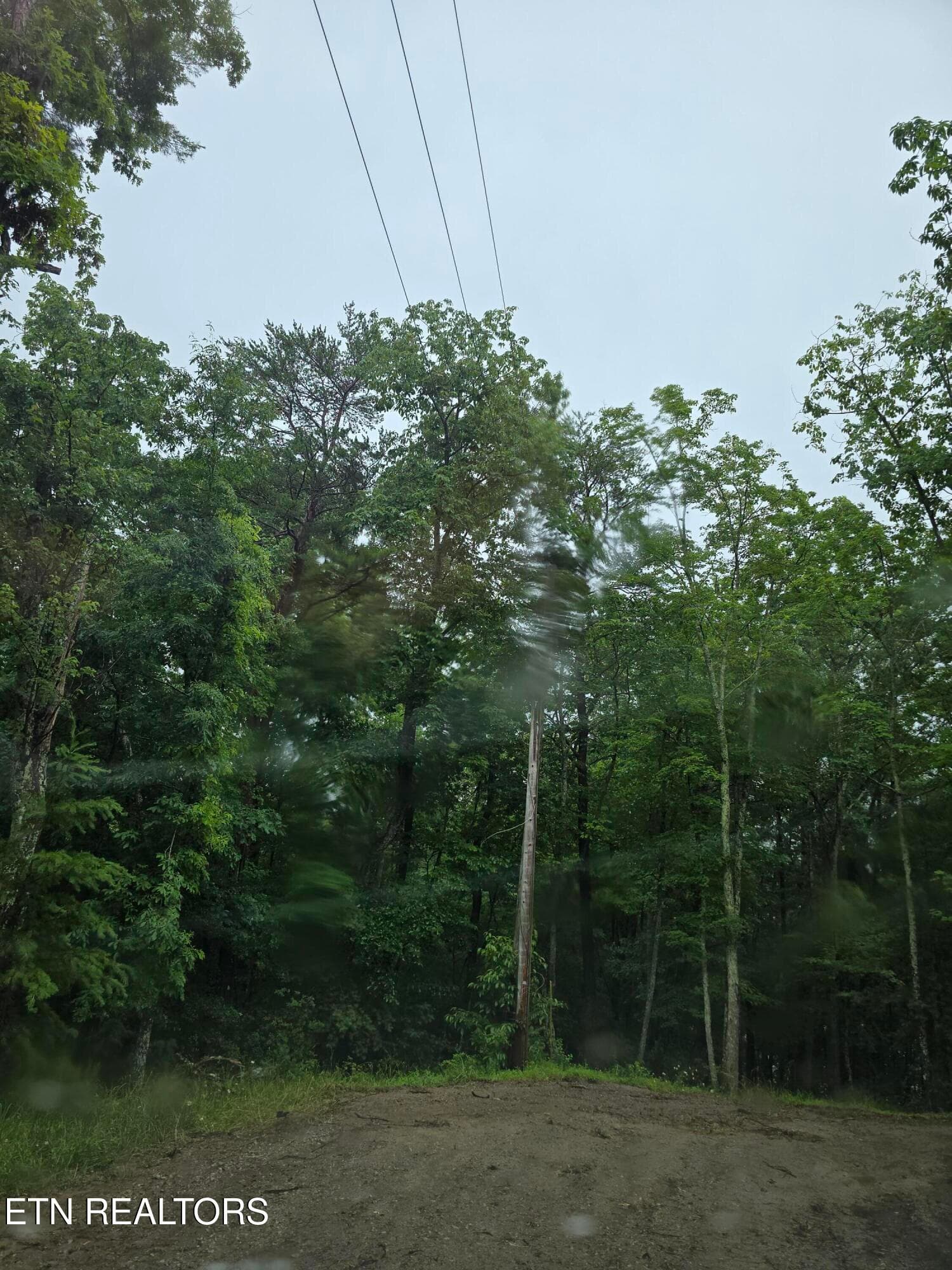 Road has been graded by FGCC Road Dept - 22 Lakeridge Terrace, Fairfield Glade, TN 38558