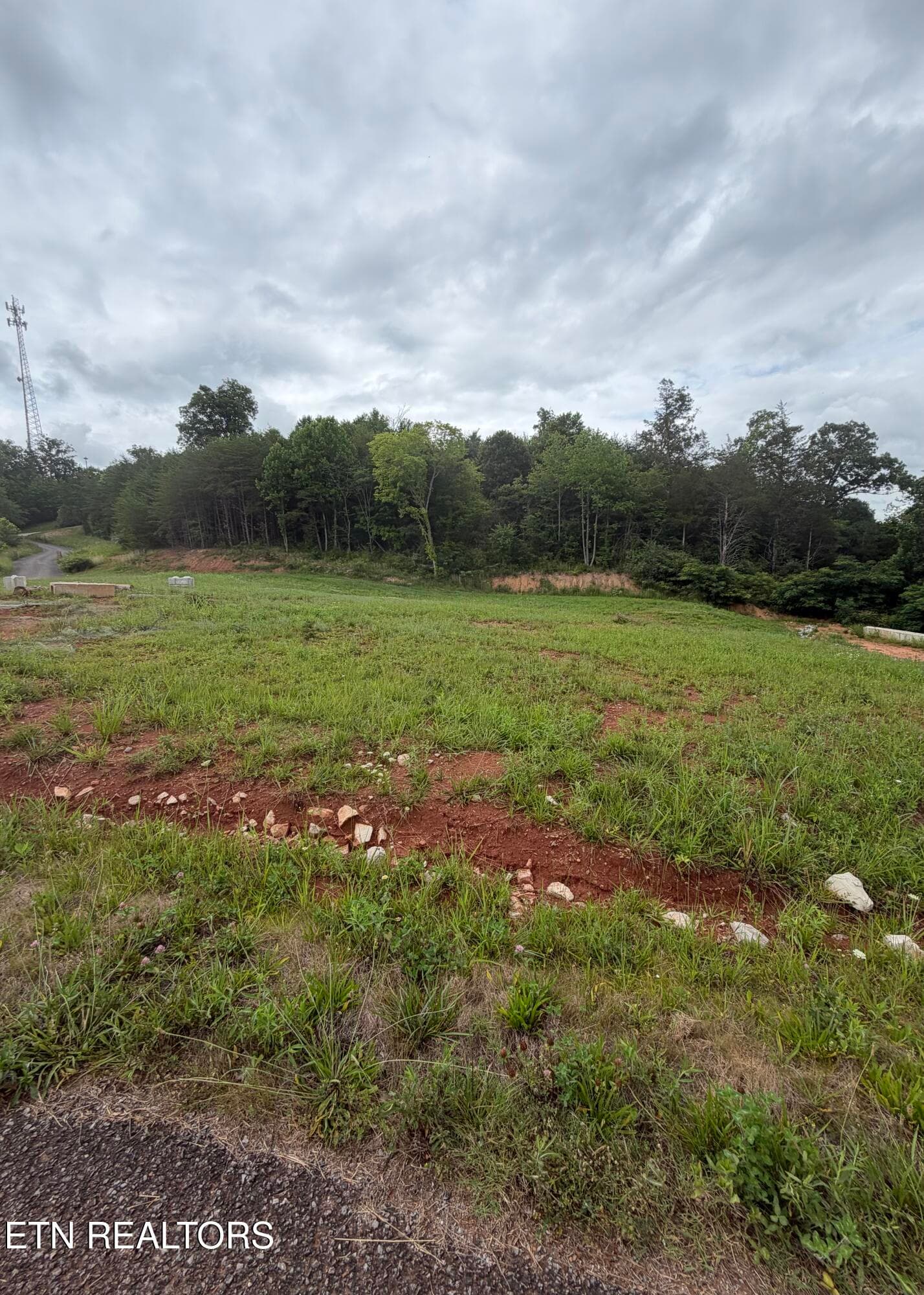 IMG_0437 - Bear Lane, Tellico Plains, TN 37385