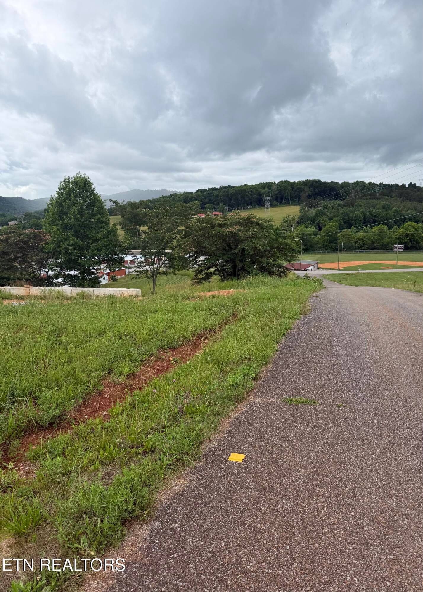 IMG_0435 - Bear Lane, Tellico Plains, TN 37385