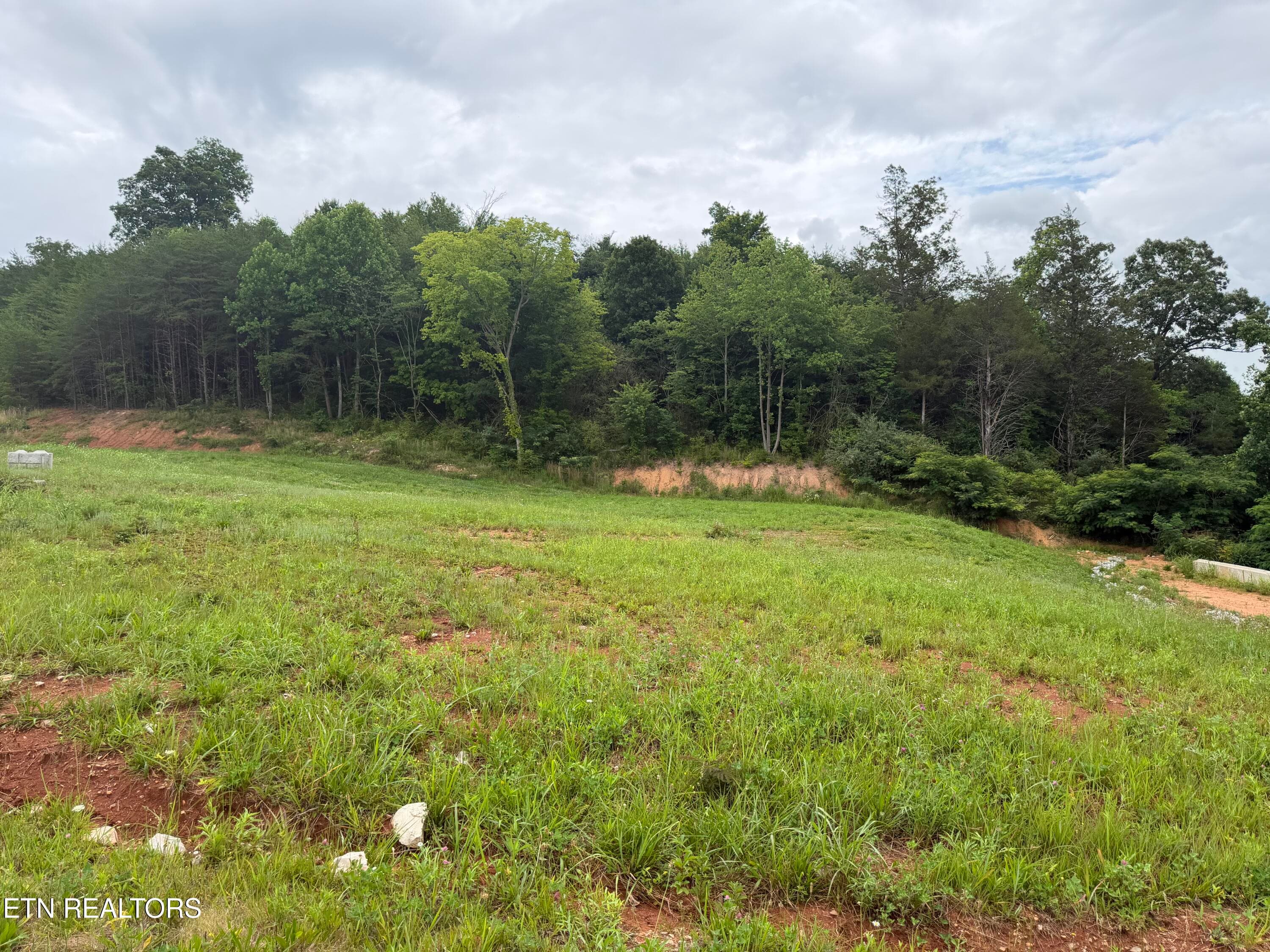 Bear Lane, Tellico Plains, TN 37385