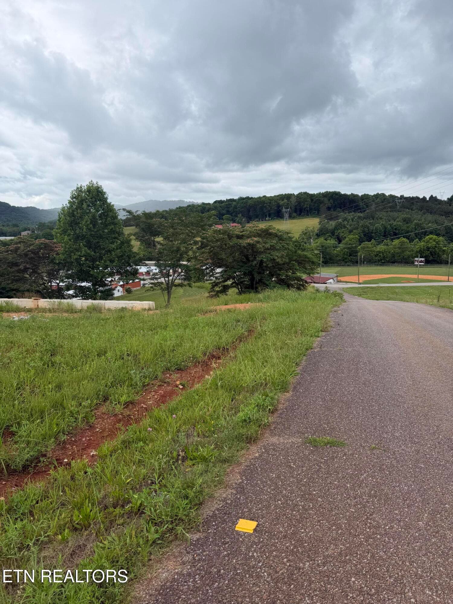 IMG_0434 - Bear Lane, Tellico Plains, TN 37385