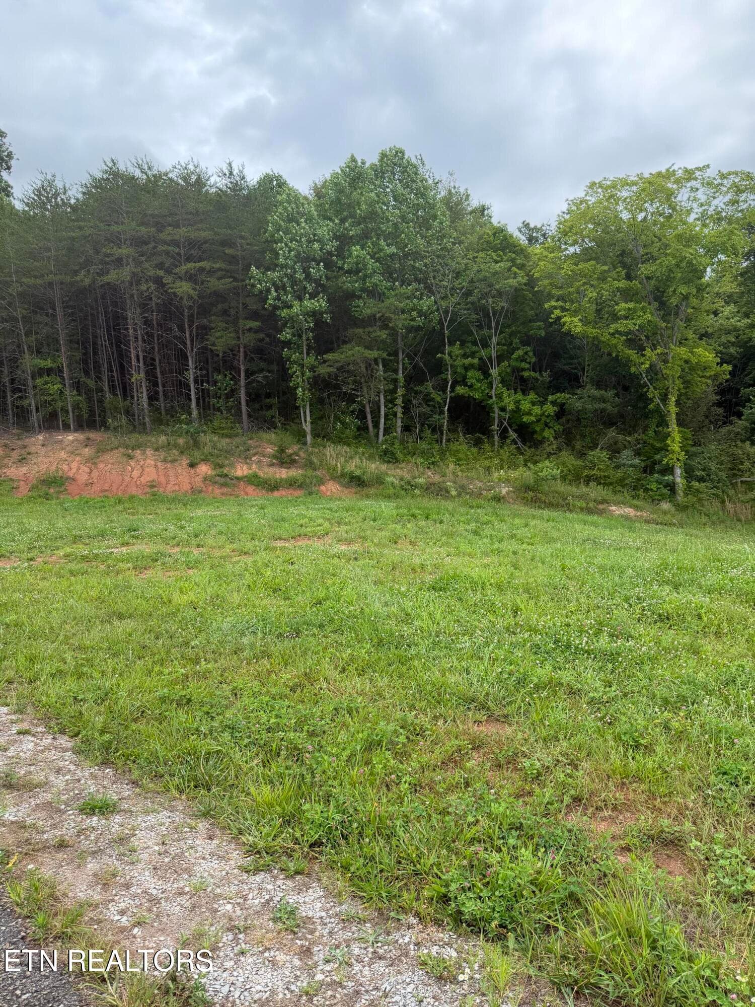 IMG_0429 - Bear Lane, Tellico Plains, TN 37385