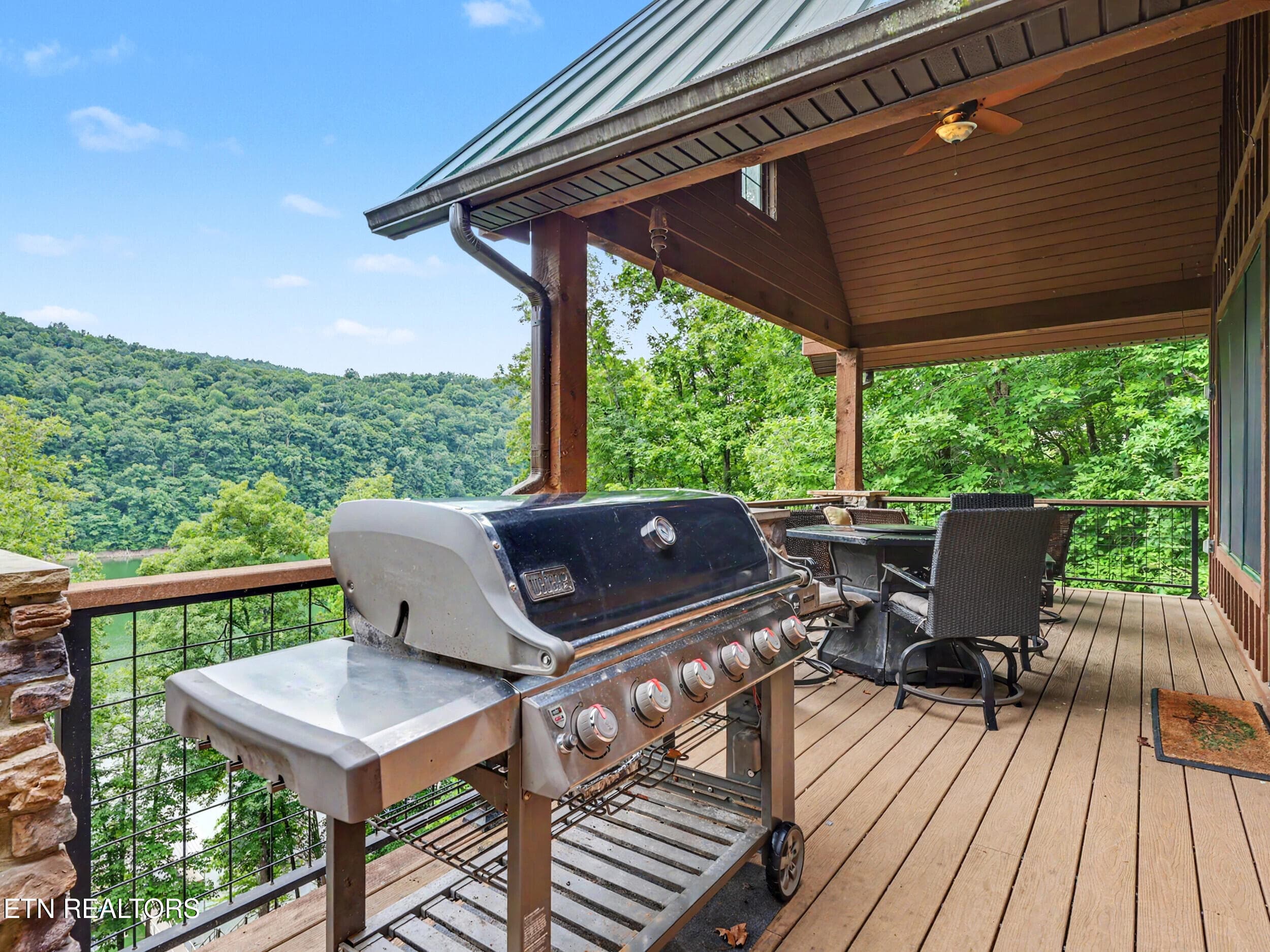 39_img_9107 - 836 & 835 Jacks Bluff Rd, New Tazewell, TN 37825