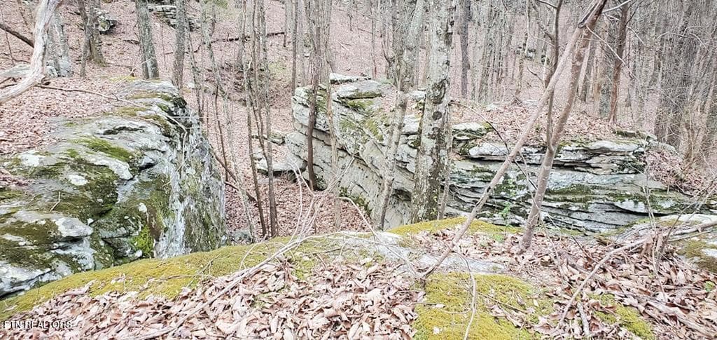 243828_22 - 751 W Bluff Rd, Pikeville, TN 37367