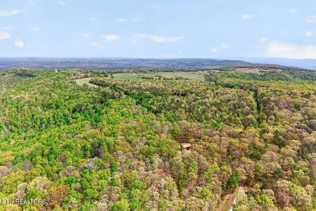 243828_5 - 751 W Bluff Rd, Pikeville, TN 37367