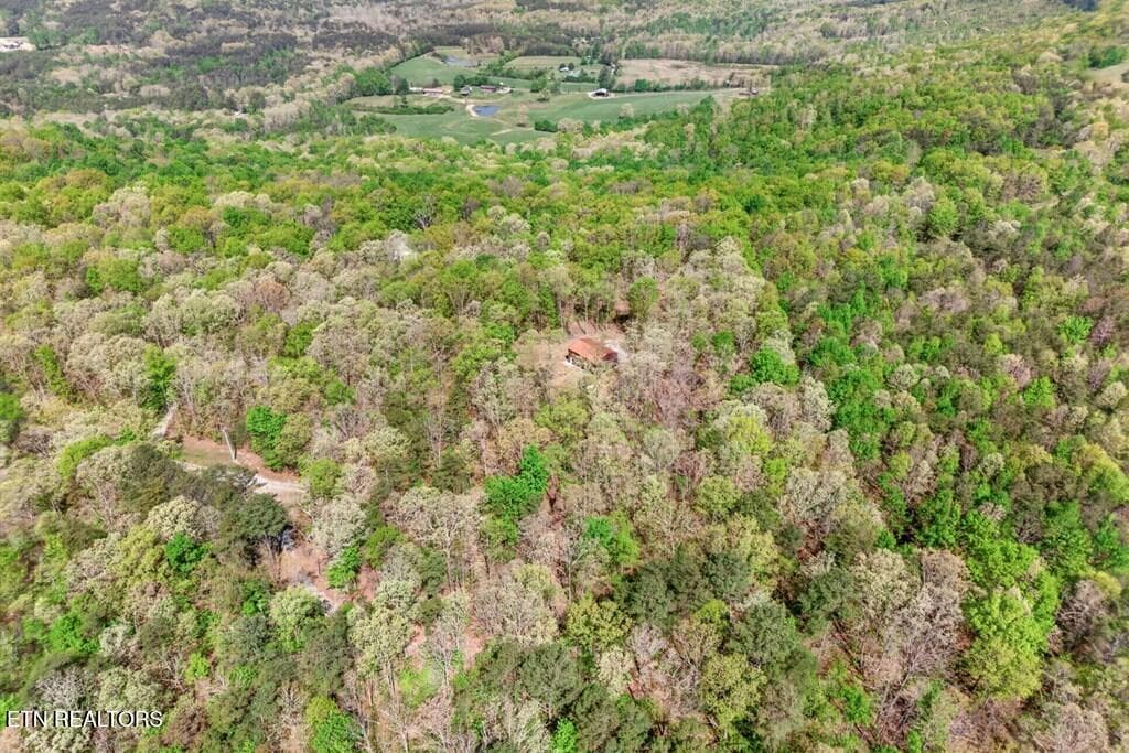 243828_3 - 751 W Bluff Rd, Pikeville, TN 37367
