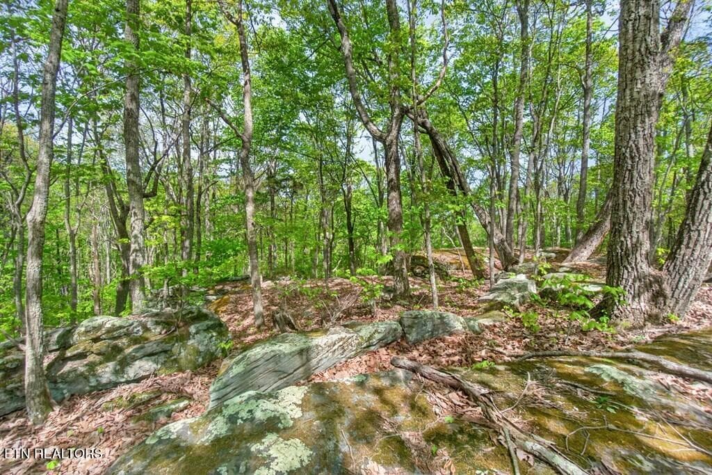 243828_21 - 751 W Bluff Rd, Pikeville, TN 37367