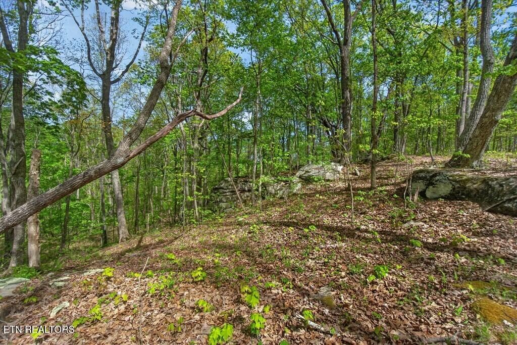 243828_20 - 751 W Bluff Rd, Pikeville, TN 37367
