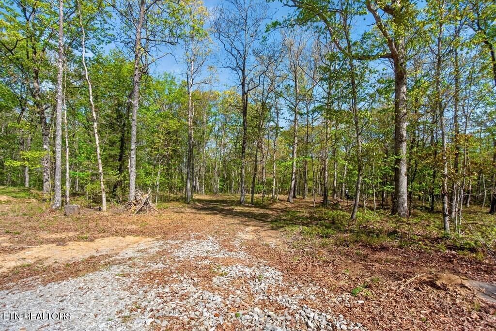 243828_17 - 751 W Bluff Rd, Pikeville, TN 37367