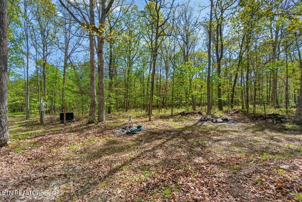243828_16 - 751 W Bluff Rd, Pikeville, TN 37367