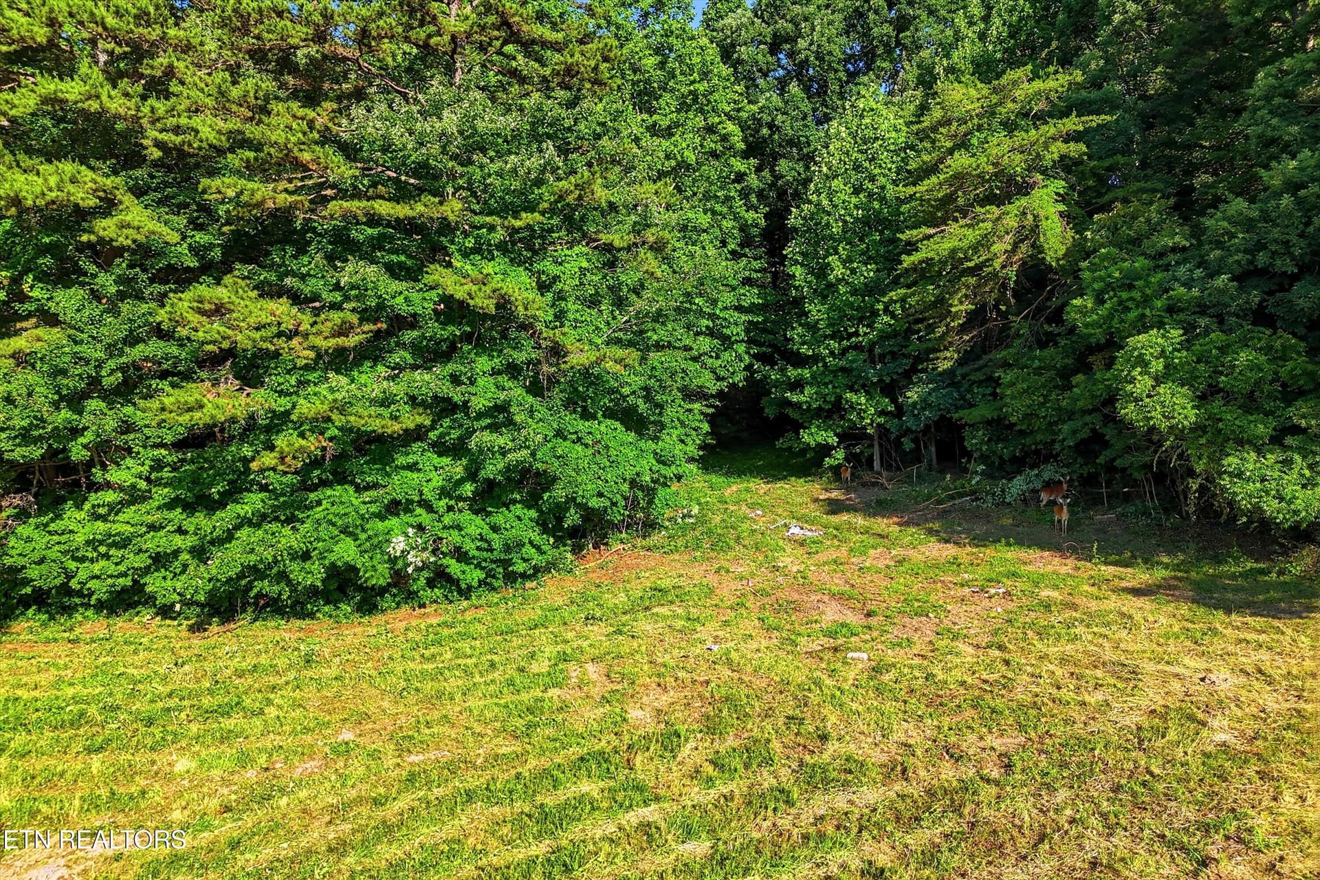 68-Daniels Rd-68 - Daniels Rd A, Knoxville, TN 37938