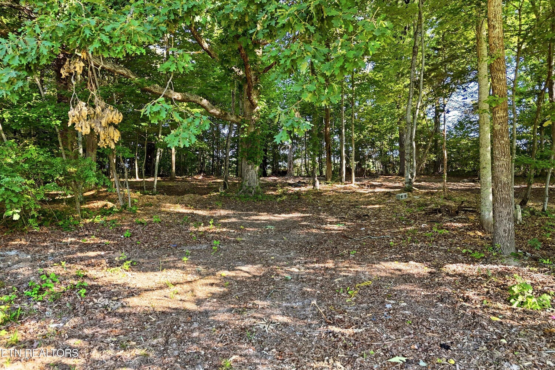 70-Daniels Rd-70 - Daniels Rd A, Knoxville, TN 37938