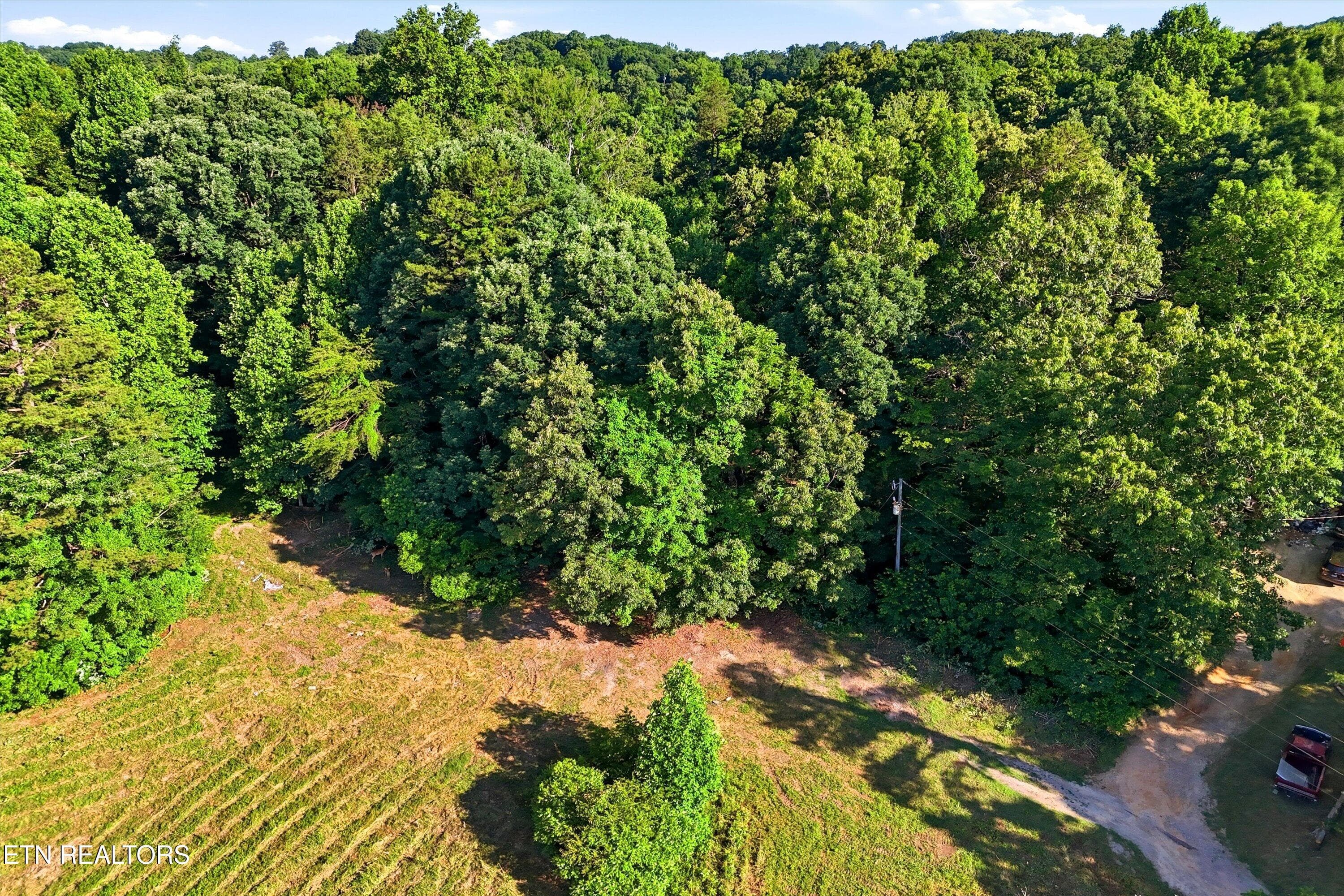 66-Daniels Rd-66 - 0 Daniels Rd 4, Knoxville, TN 37938, Knoxville