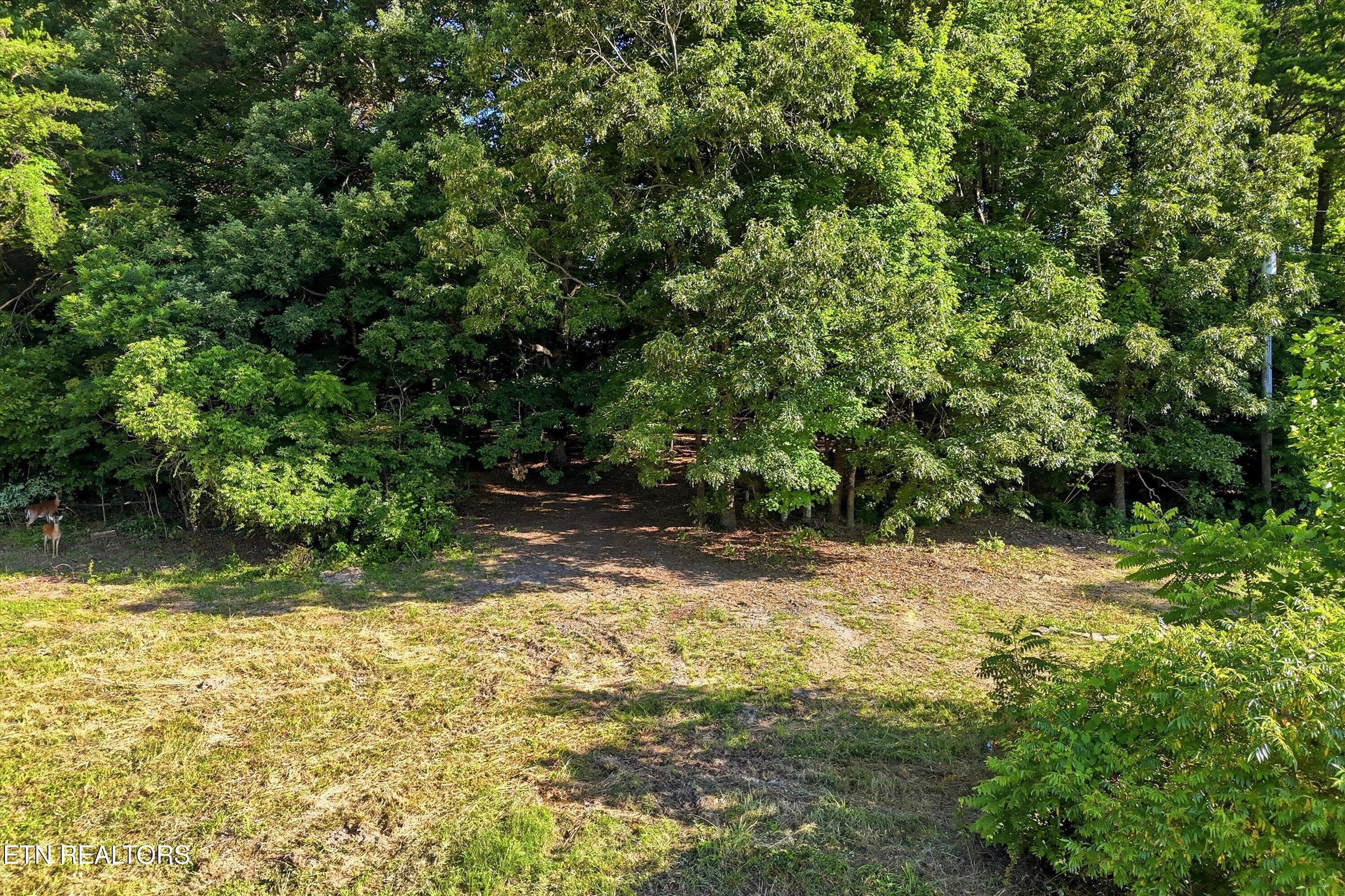 69-Daniels Rd-69 - 0 Daniels Rd 4, Knoxville, TN 37938, Knoxville