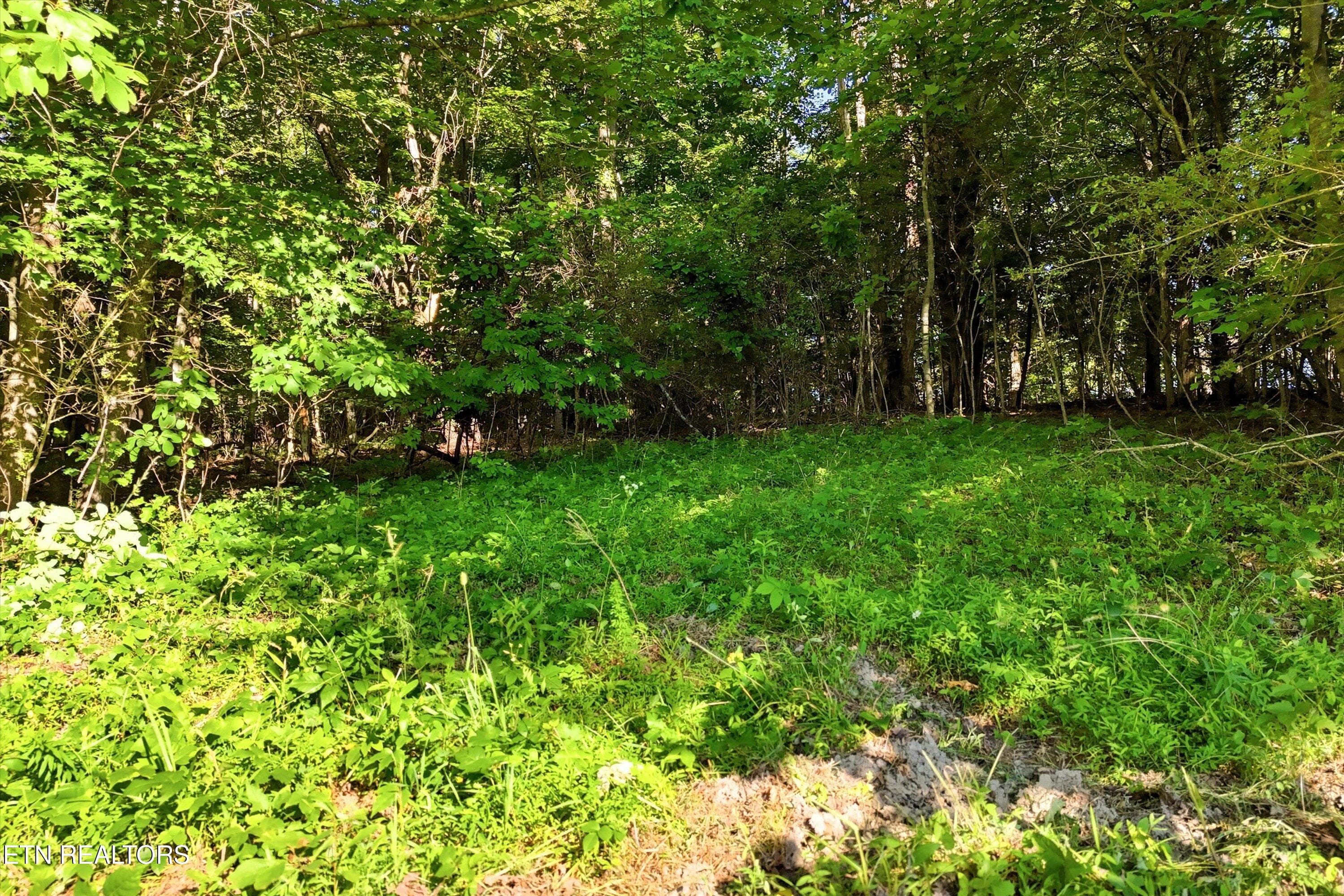 72-Daniels Rd-72 - 0 Daniels Rd 4, Knoxville, TN 37938, Knoxville