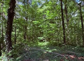 Top View - Bates Gibson Rd, Sevierville, TN 37876