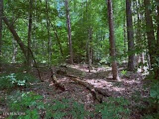 Top of Property - Bates Gibson Rd, Sevierville, TN 37876