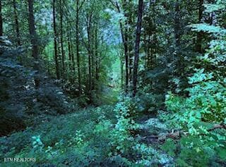 Side View - Bates Gibson Rd, Sevierville, TN 37876