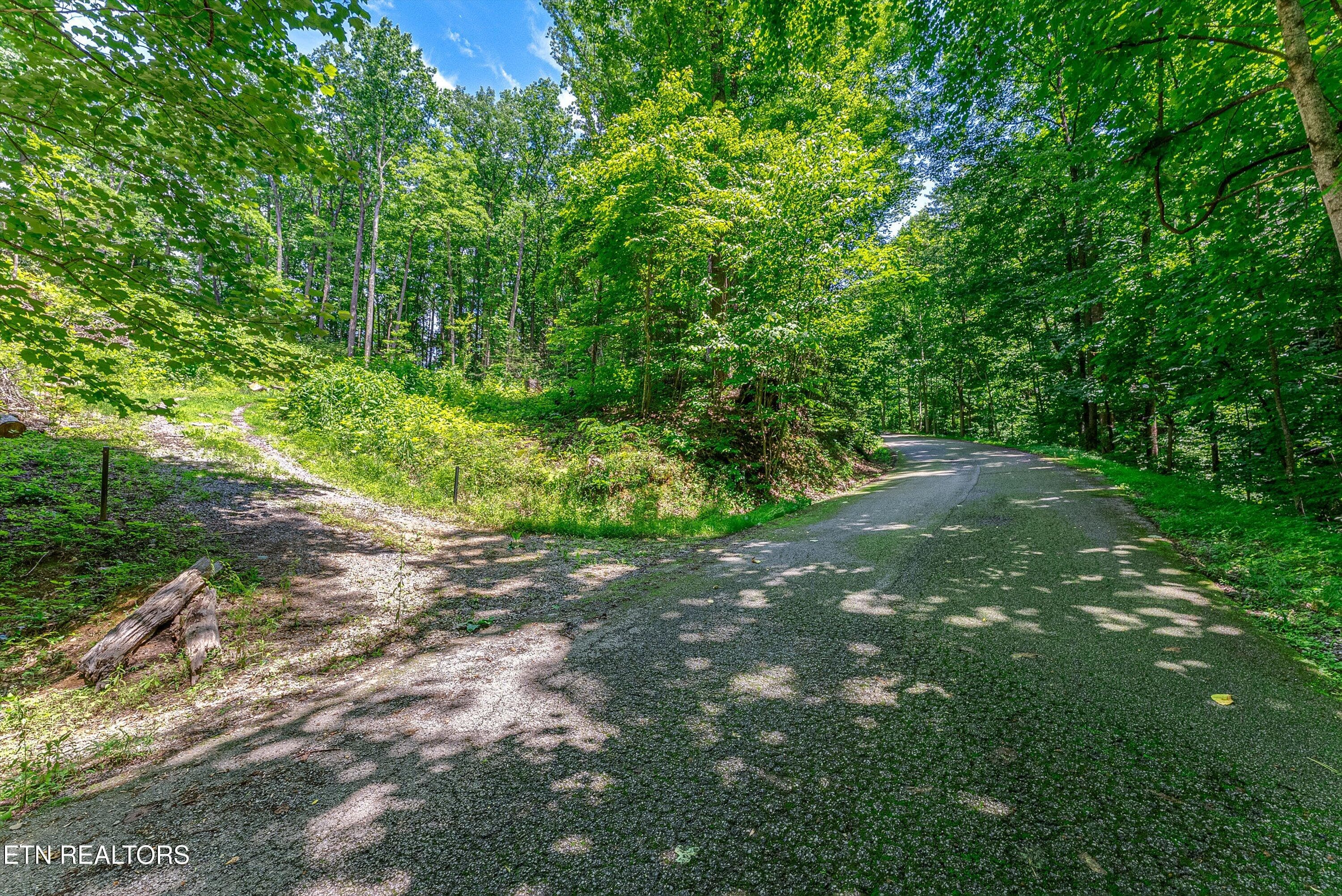 25-Entrance A1 - 229 Sonshine Ridge Rd, Cosby, TN 37722