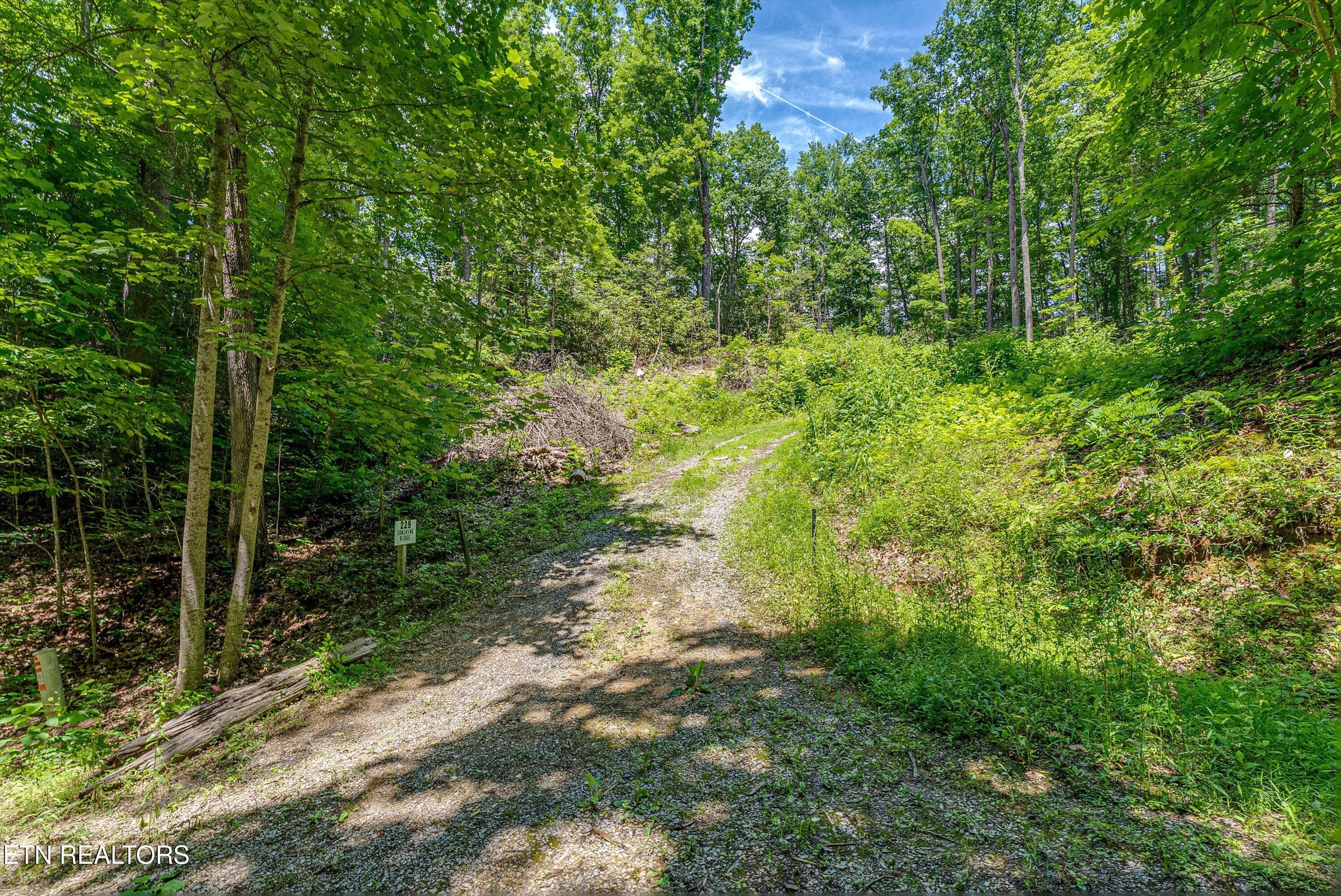 26-Entrance A2 - 229 Sonshine Ridge Rd, Cosby, TN 37722