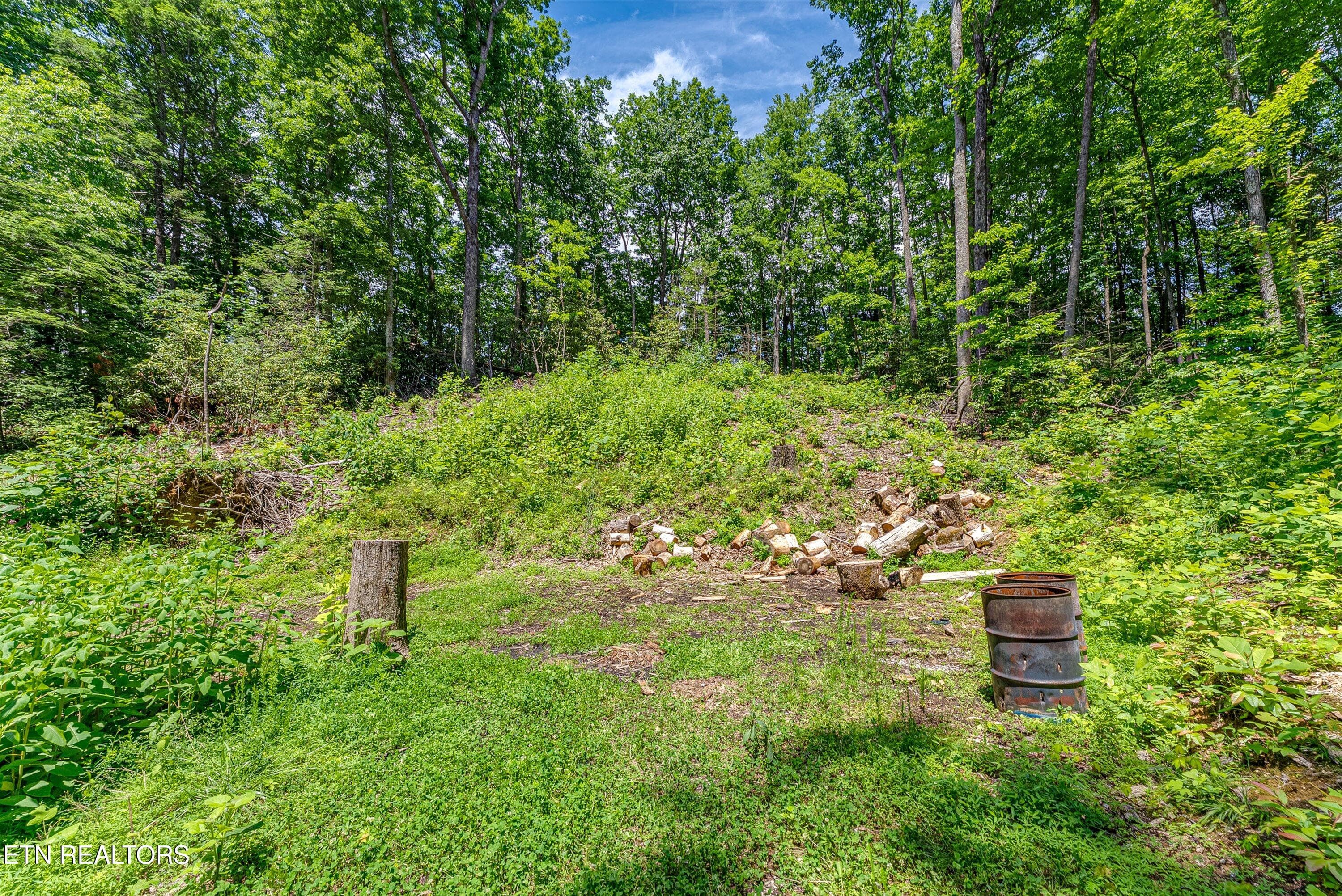 29-Clearing A3 - 229 Sonshine Ridge Rd, Cosby, TN 37722