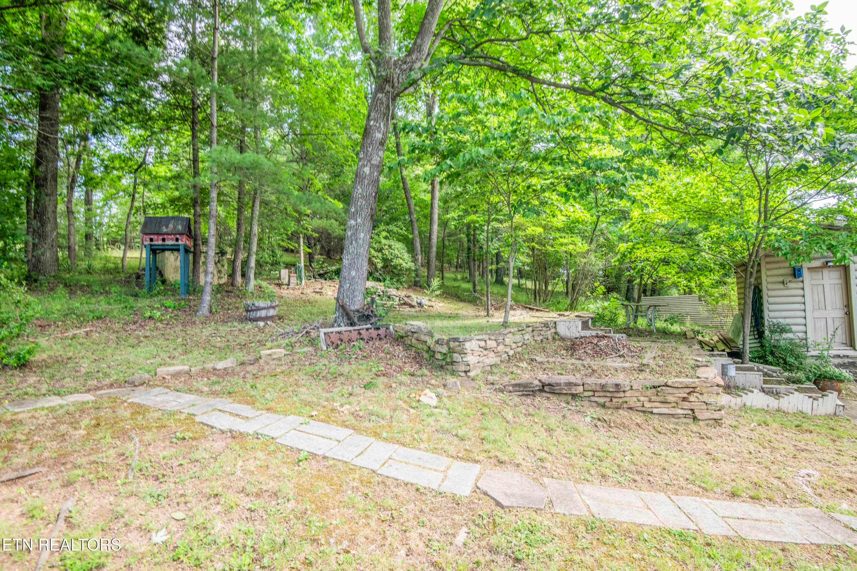 yard 11_1 - 17761 Alberta St, Oneida, TN 37841