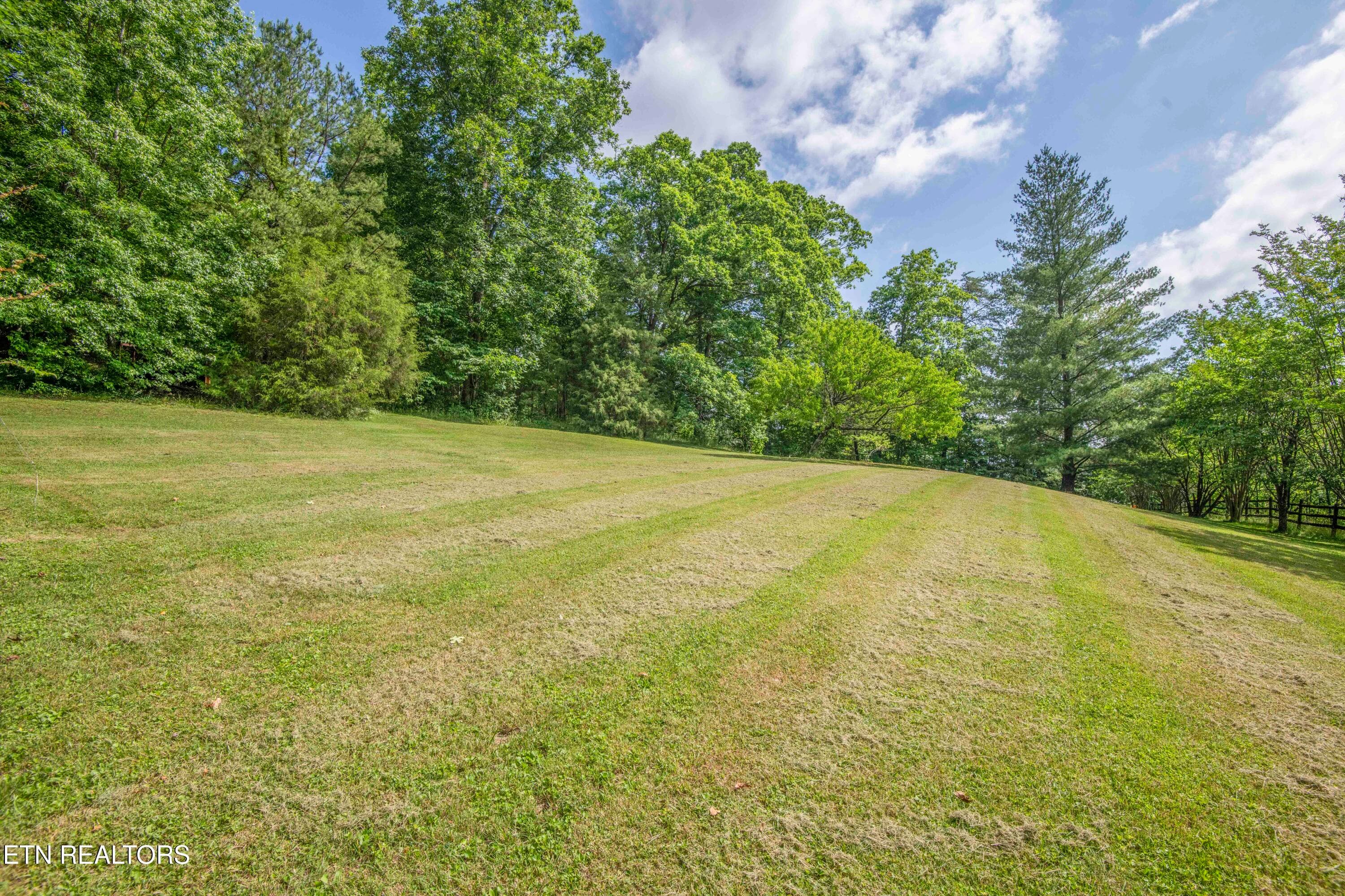 yard 19_1 - 17761 Alberta St, Oneida, TN 37841