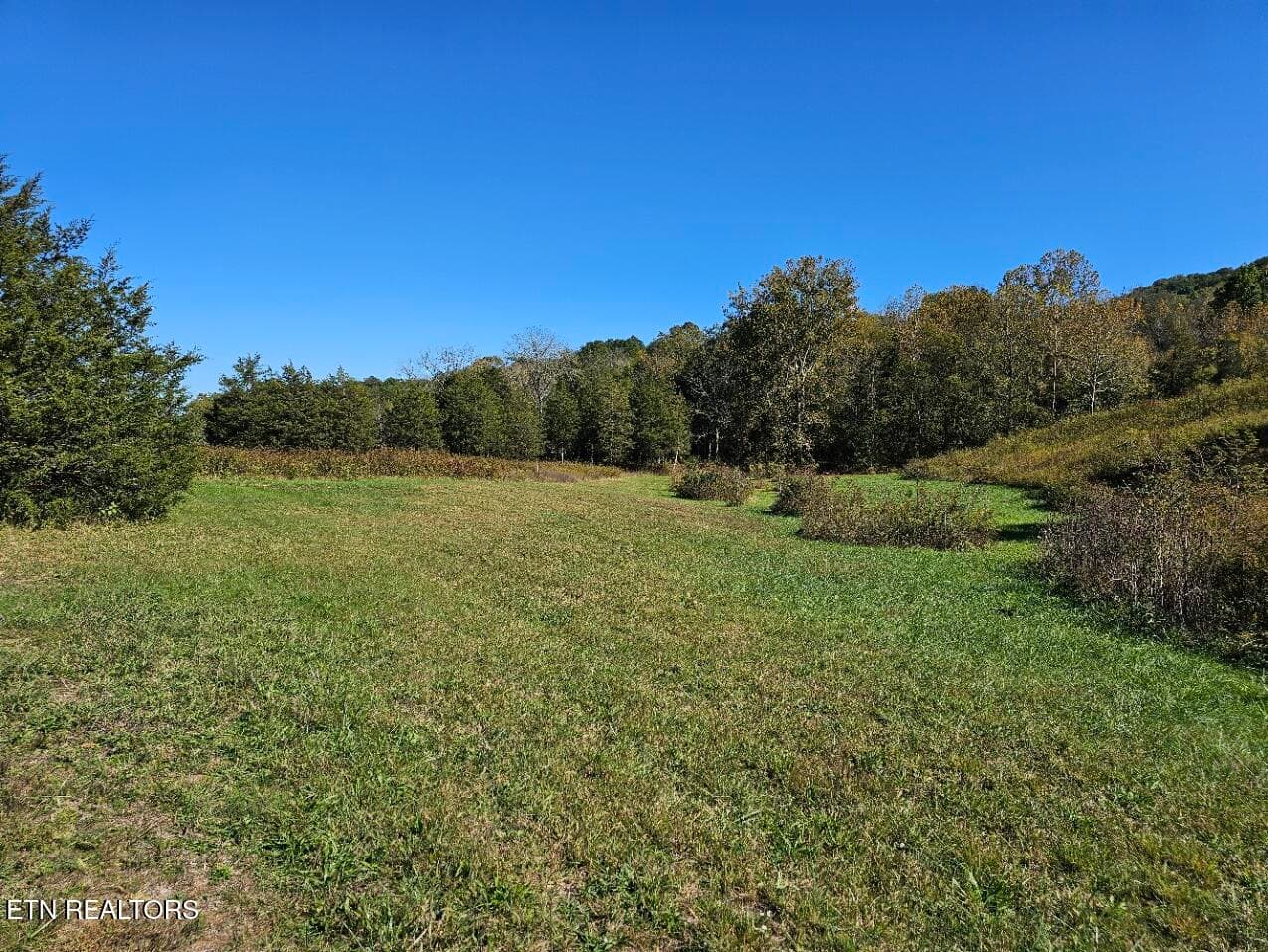 20241017_143700 - Shoreline Vista, Sharps Chapel, TN 37866, Sharps Chapel
