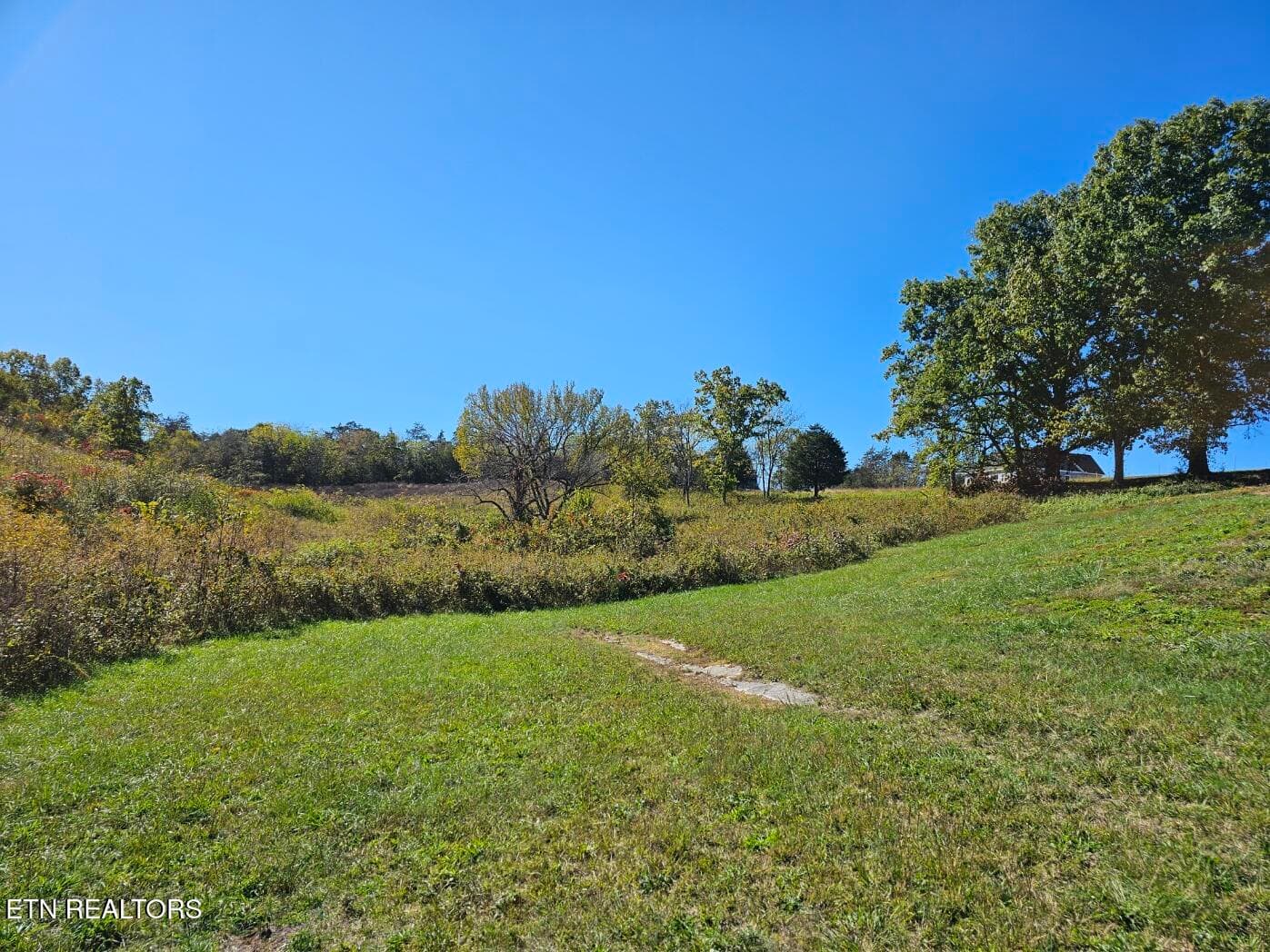 20241017_143652 - Shoreline Vista, Sharps Chapel, TN 37866, Sharps Chapel