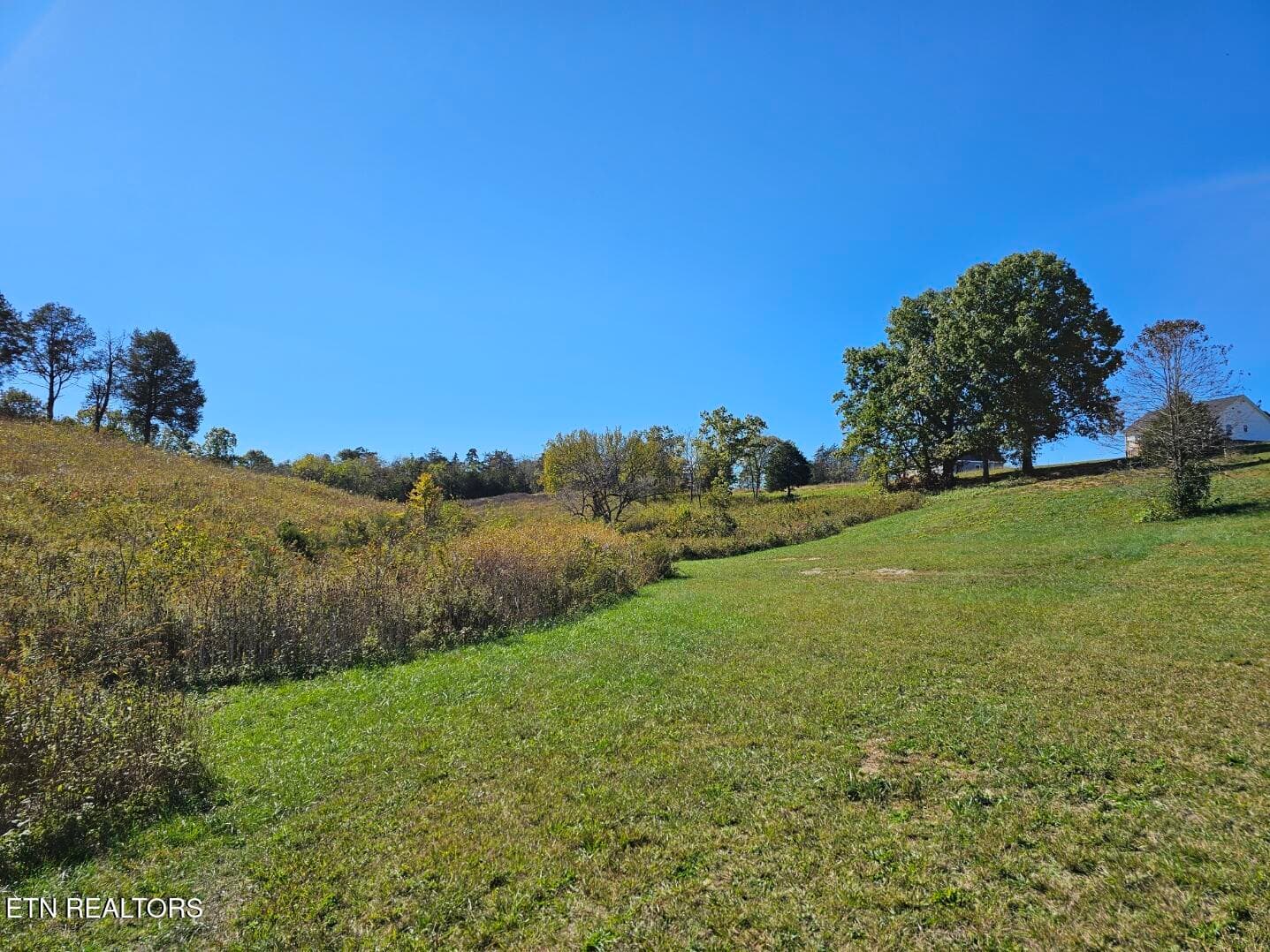 20241017_143755 - Shoreline Vista, Sharps Chapel, TN 37866, Sharps Chapel